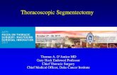 Thoracoscopic Lobectomy: A Safe And Effective Strategy For ...Bronchopulmonary Segments Left Upper Lobe S1 Apical S2 Posterior S3 Anterior Lingula S4 Superior S5 Inferior Left Lower