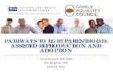 PATHWAYS TO LGBT PARENTHOOD: ASSISTED REPRODUCTION … · 6/12/2014  · SURROGACY: HISTORY, TRENDS, LAW Gay Couples and Singles began working with Traditional Surrogates 20 plus