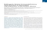 Pathogenic Simian Immunodeficiency Virus Infection Is ... Title: Pathogenic Simian Immunodeficiency