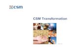 CSM Transformation...CSM’s portfolio has been streamlined and refocused over last 8 years 2004 2011 Future CSM Purac 56% Caravan 44% Bakery Supplies Europe 35% Bakery Supplies North