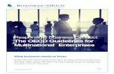 Responsible Business Conduct: The OECD Guidelines for …biac.org/wp-content/uploads/2018/01/FIN-2017-12-MNE... · 2018. 1. 3. · Responsible Business Conduct: The OECD Guidelines
