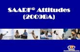 SAARF Attitudes (2009BA) · 2019. 8. 15. · Mature Singles 27.6% 21.5% 17.1% Young Family Mature Couples Branded RAMS 2008B ...