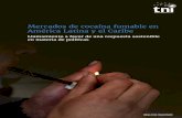Mercados de cocaína fumable en América Latina y …...4 | Mercados de cocaína fumable en América Latina y el Caribe transnationalinstitute la evolución del mercado y pocas pruebas