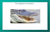 The Alligator Principles - Amazon S3€¦ · The Alligator Principles RULE NUMBER FOUR Little Alligators make a lot of noise and are very annoying. Never let a little Alligator take
