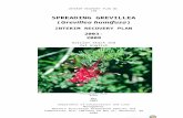 Spreading grevillia (Grevillea humifusa) interim recovery ...  · Web view(G. Stack and V. English, 1999). This Interim Recovery Plan will operate from May 2003 to April 2008 but