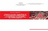 Patient-speciﬁc modelling of stented coronary bifurcations ... · imaging modality used for PCI is angiography, but advanced imaging techniques that are regularly performed during