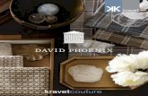 David Phoenix Brochure FINAL REV · 2020. 2. 10. · David Phoenix is a celebrated and influential Los Angeles designer known for thoughtful, modern luxury and livability. With a
