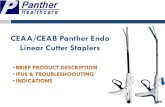 CEAA/CEAB Panther Endo Linear Cutter Staplers · There is a big difference between Echelon Endo Staplers and Panther Endo products. There are differences regarding the operation of