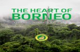 THE HEART OF BORNEO...Photo by @ Andri Tambunan THE HEART OF BORNEO 5 The HoB initiative’s goal is to preserve and maintain the sustainability of one of Borneo’s best remaining