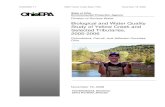 Biological and Water Quality Study of Yellow Creek and ...€¦ · Ted Strickland, Governor Chris Korleski, Director . EAS/2008-7-7 2005 Yellow Creek Basin TSD November 18, ... 111