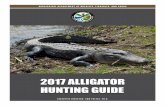 2017 ALLIGATOR HUNTING GUIDE · parts, are very difficult to distinguish from the hides and parts of other endangered crocodilians such as the American crocodile (Crocodylus acutus)