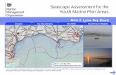 Marine Character Area 2 South marine plan areassupporting diverse plant and animal life, including seaweeds, kelp beds, sponges, limpets and winkles. Offshore and subtidal bedrock