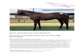 Dream Thoroughbreds Vaziri Syndicate Unnamed yearling Bay … · 2018. 3. 8. · Dream Thoroughbreds Pty Ltd may continue to advertise shares in the unnamed yearling bay colt 2016