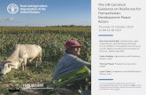 The UN Common Guidance on Resilience for Humanitarian ... · Country Development Planning UN Country-level Planning Joined-up Tools, Approaches, Programming Resilience Lens UN Teams