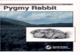 The pygmy rabbit was classified by the Washington Wildlife … · 2019. 12. 19. · The pygmy rabbit was classified by the Washington Wildlife Commission (now Fish and Wildlife Commission)