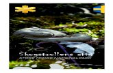 Folder - Skogstrollens stig€¦ · Skogstrollens stig STORE MOSSE NATIONALPARK Folder - Skogstrollens stig.indd 1 2017-06-29 10:05:10