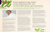 Deciphering the mechanisms of membrane proteins · Exploring Nature’s essential nanomachines At the Free University of Berlin, studies across a wide range of fields are applying