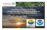 The Effects of Sea Level Rise on Coastal Habitats and ...ocean.floridamarine.org/CHIMMP/Resources/2_Geselbracht - Effects of SLR.pdfusing the Sea Level Affecting Marshes Model (SLAMM)