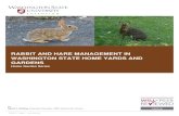 RABBIT AND HARE MANAGEMENT IN WASHINGTON STATE …pubs.cahnrs.wsu.edu/publications/wp-content/...Eliminate brush piles and thick vegetation around gardens and orchards. Block access