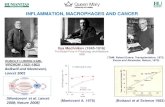 INFLAMMATION, MACROPHAGES AND CANCER pm 10 20 · INFLAMMATION, MACROPHAGES AND CANCER Balkwill and Mantovani, Lancet 2001 RUDOLF LUDWIG KARL VIRCHOW (1821-1902) (Mantovani et al.