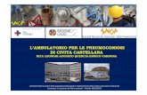 L’AMBULATORIO PER LE PNEUMOCONIOSI DI CIVITA CASTELLANAsitiwebshop.it/nuovo-snop/wp-content/uploads/2013/03/Leonori-Quer… · –Digitized versions of the 2000 ILO reference radiographs