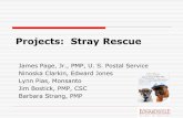 Projects: Stray Rescue€¦ · Integration to core internal systems, multiple service providers & core vendor product Issues Initial Budget and Timeline estimates were cut by management