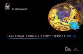 CANADIAN LIVING PLANET REPORT 2007 - WWF-Canadaawsassets.wwf.ca/downloads/canadianlivingplanetreport2007.pdf · Fig. 1: GLOBAL LIVING PLANET INDEX, 1970–2003 1970 1975 1980 1985
