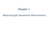 Chapter 1 Macroscopic Quantum Phenomena · Luis de Broglie describes classical particles as waves wave particle duality Particle –wave interrelations: Erwin Schrödinger developed