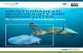 Mediterranean Biodiversity and Marine Litter · able of Contents 1 0 6 7 2 3 Introduction Glossary References Annexes Annex I Marine litter science by the Mediterranean biodiversity