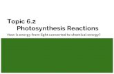 Topic 6.2 Photosynthesis Reactions - Weeblymisspawlick.weebly.com/uploads/7/2/2/2/72226221/topic_6...Step 2: Electron Transport Chain ATP Generation by Chemiosmosis 1. ETC transports