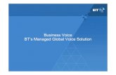 Business Voice BT’s Managed Global Voice Solution · Business Voice : Voice Port Pricing Options - Scalable & Simple, 3 pricing/access options that can be mixed across a customer's