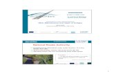 National Roads Authority, IRELANDdurati.lnec.pt/pdf/workshop/presentation02_daly.pdf · Presentation to Trans-national Workshop NRA: Maintenance and repair of bridges Albert Daly