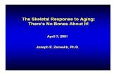 The Skeletal Response to Aging: There’s No Bones About It! · There’s No Bones About It! April 7, 2001 Joseph E. Zerwekh, Ph.D. Interrelationship of Intestinal, Skeletal, and