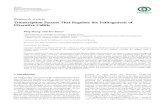 Transcription Factors That Regulate the Pathogenesis of ...downloads.hindawi.com/journals/bmri/2020/7402657.pdf · Research Article Transcription Factors That Regulate the Pathogenesis