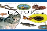 Nature · Nature 3 d. Insects and Spiders (1) Collect, mount, and label 10 species of insects or spiders. (2) Hatch an insect from the pupa or cocoon; OR hatch adults from nymphs;