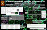 Synthetic extracellular matrix for investigating 3D vascular … · 2019. 8. 26. · Human induced pluripotent stem cell-derived endothelial cells (iPSC-derived ECs, iCell® ECs,Cellular