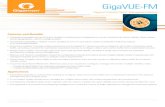 GigaVUE-FM...Gigamon reserves the right to change, modify, transfer, or otherwise revise this publication without notice. Gigamon ® | 3300 Olcott Street, Santa Clara, CA 95054 USA