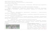 konkurs.mosmetod.ru · Web viewГБОУ Школа 1371 «Крылатское». Заместитель директора по воспитанию и социализации Савчук