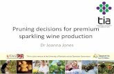 Pruning decisions for premium sparkling wine production premium sparkling wine production . Trial Site
