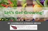 DC COOPERATIVE EXTENSION SERVICEfiles.udc.edu/docs/cfs/Lets_Get_Growing.pdf · • Cucurbitaceae (gourd family): cucumber, summer squash, winter squash, ... eutrophcation: excessive