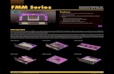 FMM Series - Advantechadvdownload.advantech.com/productfile/PIS/FMM-5001B... · 2016. 11. 10. · Features FMM Series Introduction Advantech’s Fabric Mezzanine Modules (FMM) provide