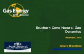 Southern Cone Natural Gas Dynamics - INSTITUTE OF THE … · 2019. 12. 6. · SOUTHERN CONE NATURAL GAS DYNAMICS 1.76 TCF . 22 Exploratory Activity 2020 - 2022 Source: GELA, Sep 2019.