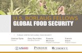 U.S. BORLAUG FELLOWS INGLOBAL FOOD SECURITY · program objectives • help train a new generation of interdisciplinary u.s. scientists with an understanding of global food security.