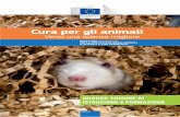 Working Group (EWG) on Education and Trainingec.europa.eu/environment/chemicals/lab_animals/pdf/... · 2017. 2. 22. · 1 Autorità nazionali competenti responsabili dell'attuazione