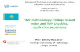 TMF methodology: Tailings Hazard Index and TMF Checklist ... · Key measures to improve TMF safety • Strengthening of dams and other critical components. • Improving the methods