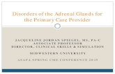 Disorders of the Adrenal Glands for the Primary …Disorders of the Adrenal Glands for the Primary Care Provider Objectives Recognize the hormone products (& their actions) associated
