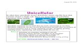 Unicellular - Cabarrus County Schools · Unicellular and Multicellular Consists of one cell Consists of more than one cell Protist, Algae, Amoeba, Bacteria Plants, animals, humans