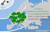 Europe’s forests and forestry in a changing climate Part 1: … · 2019. 6. 14. · redwood, oak, ash, maple, birch, beech, poplar, elm and pine ... intensity of precipitation,
