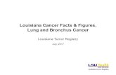 Louisiana Cancer Facts & Figures, Lung and …...Data source: American Cancer Society, Cancer Facts & Figures 2017. Lung and Bronchus Cancer: Age-Specific Incidence Rates#, Louisiana,