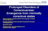 Prolonged Disorders of Consciousness: Emergence from … · 2019. 3. 7. · Reality check Likelihood of emergence diminishes over time Cause of brain injury is a strong indicator